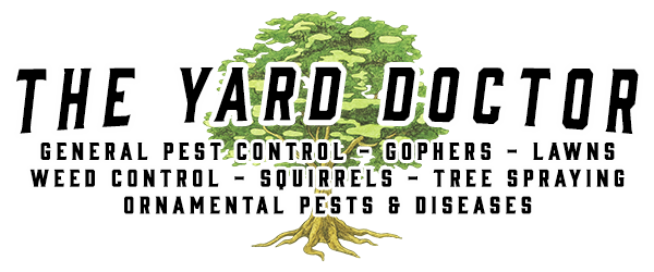 The-Yard-Doctor-Logo-for-Website